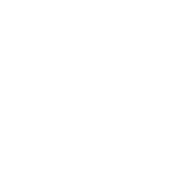 tadiran new energy